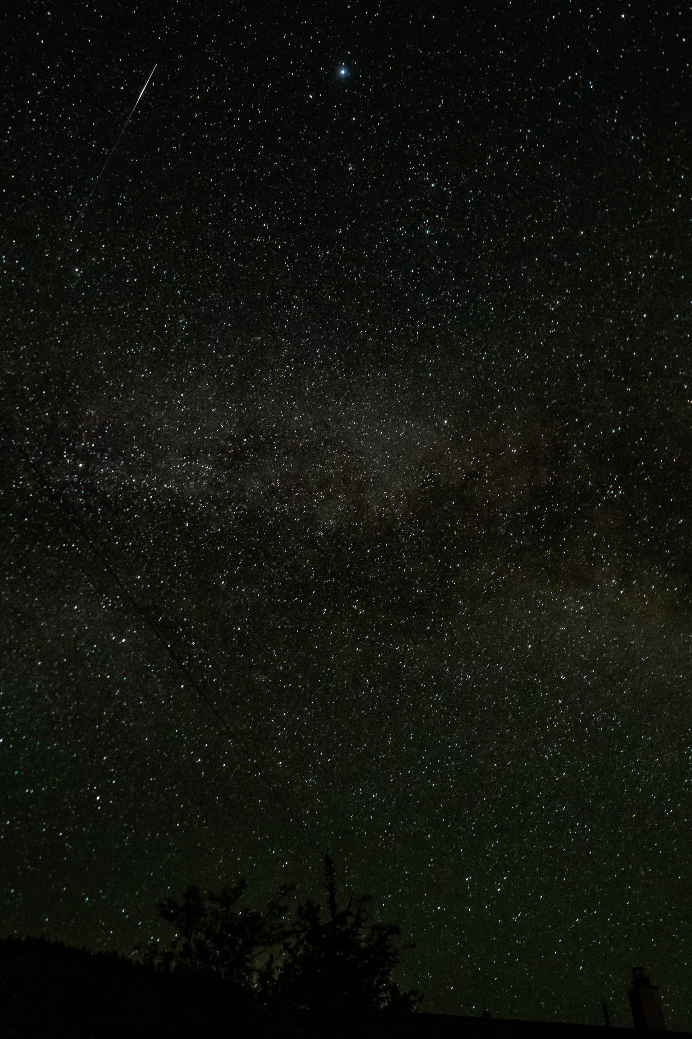 Milky Way Arching Over Silent Trees
