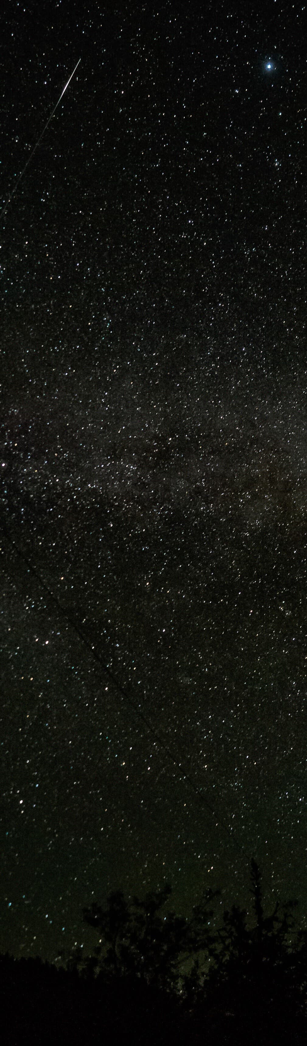 Milky Way Stretching Over Silent Trees