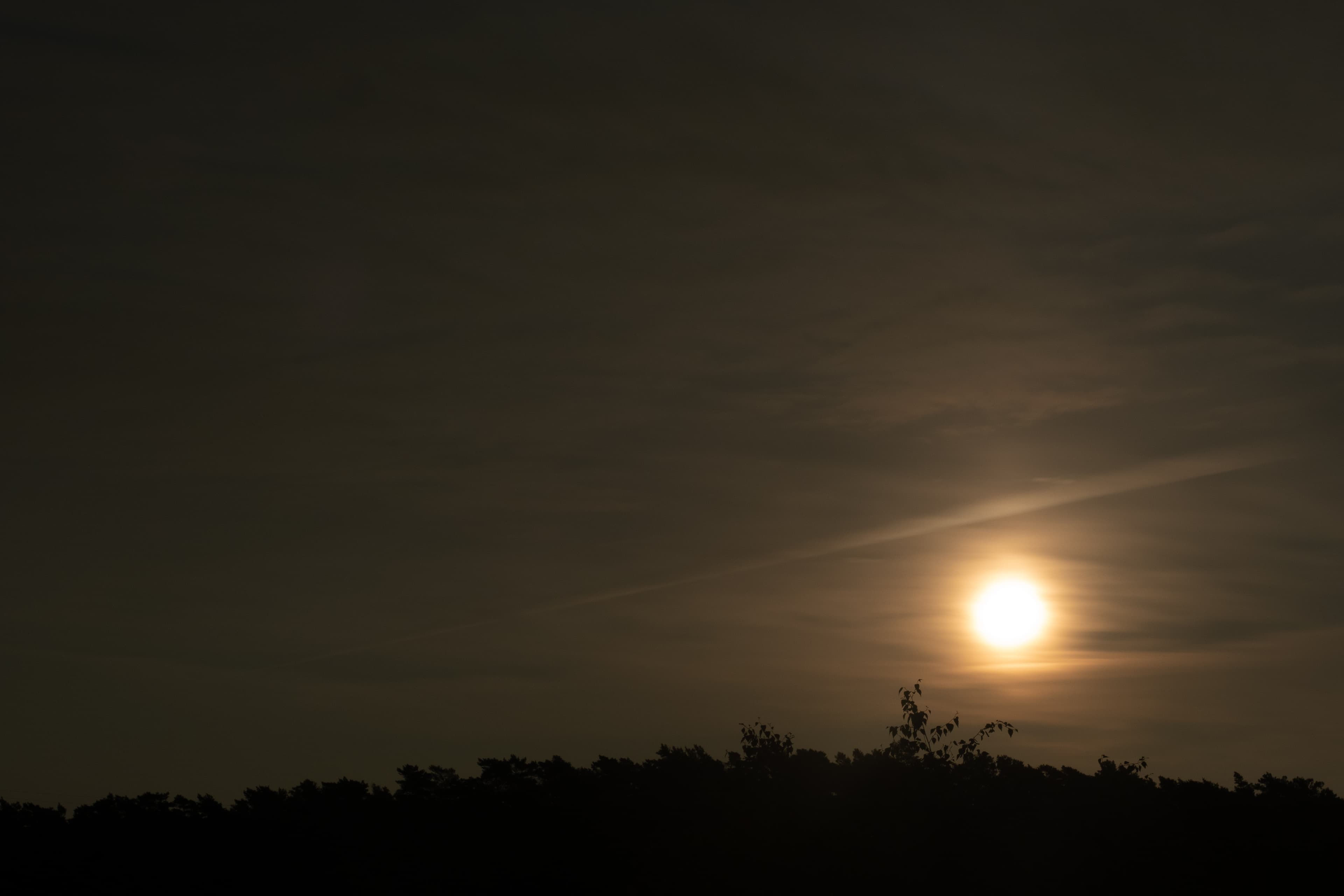Moon Rising Through Wispy Night Clouds