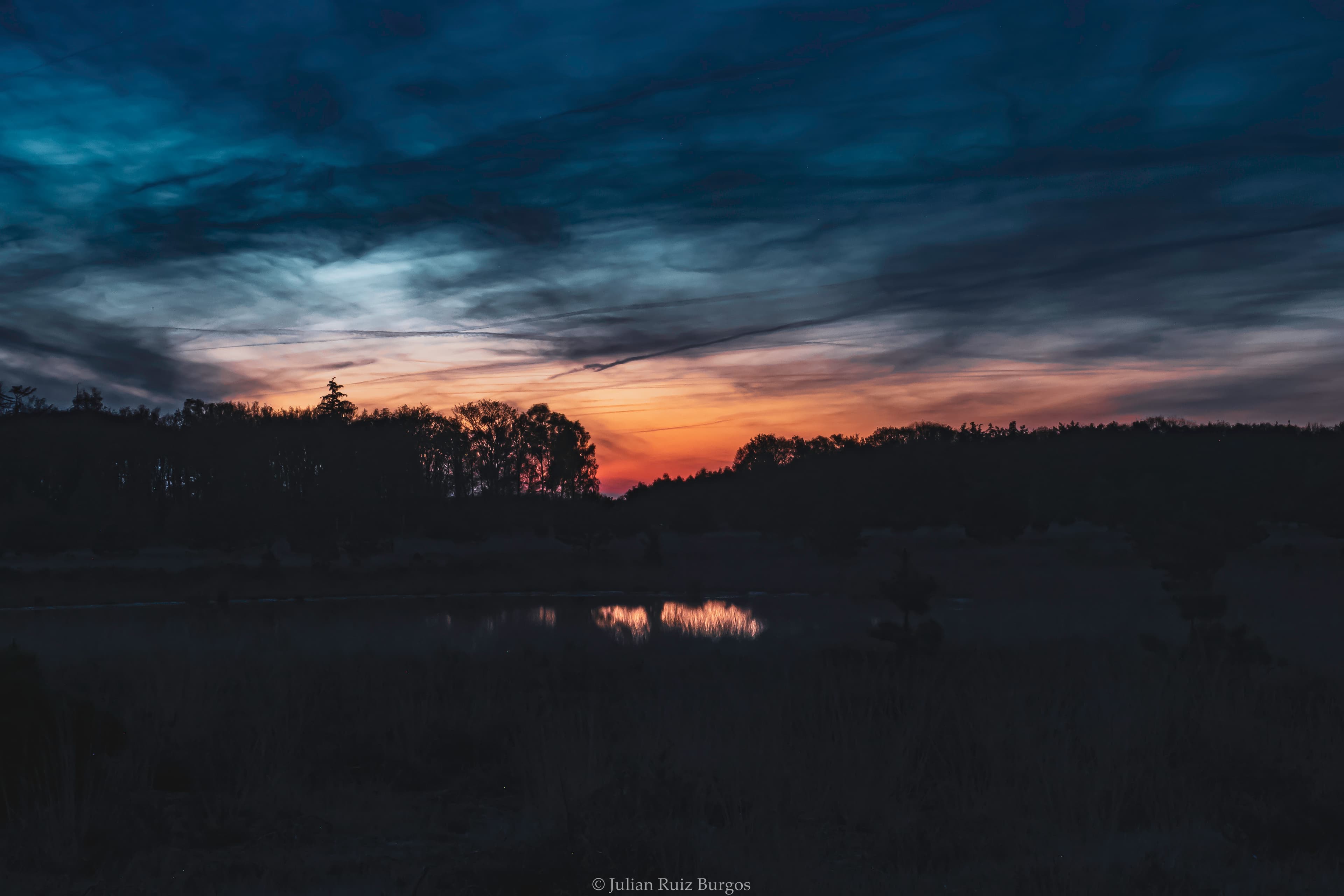 Last Light Behind Silhouetted Trees