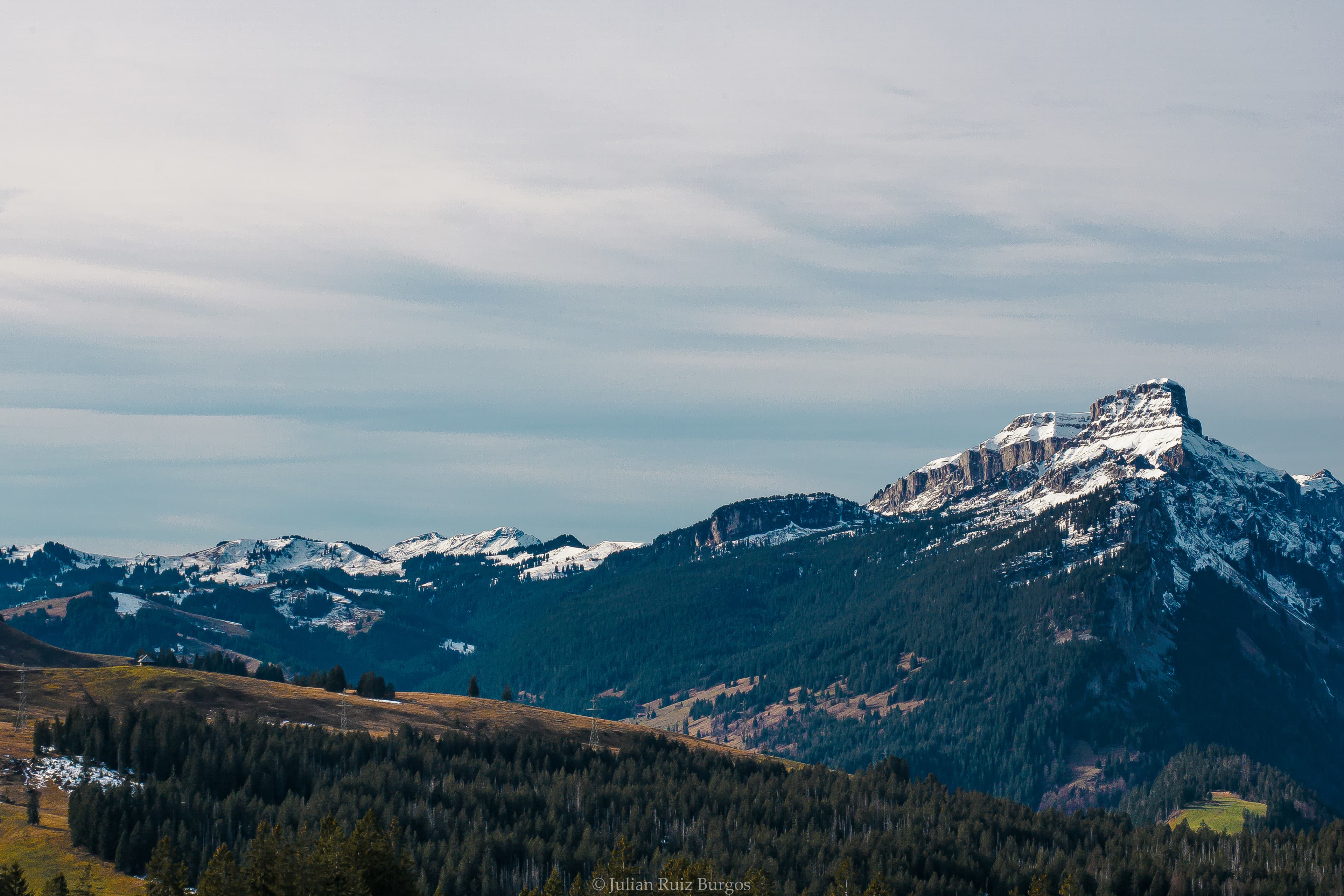 Snow Crowned Peaks Above Alpine Forest