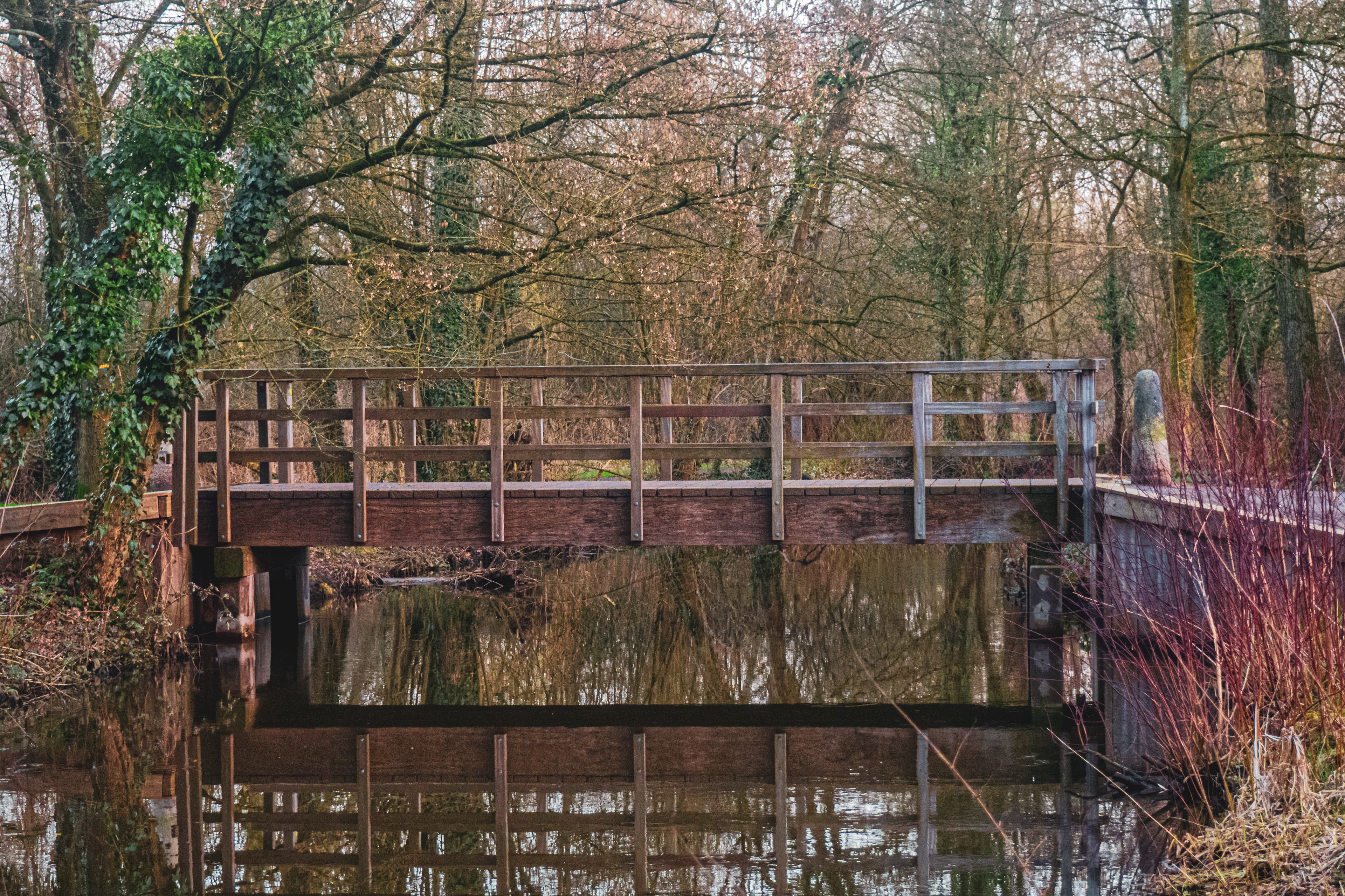 Weathered Wooden Bridge Over Still Waters