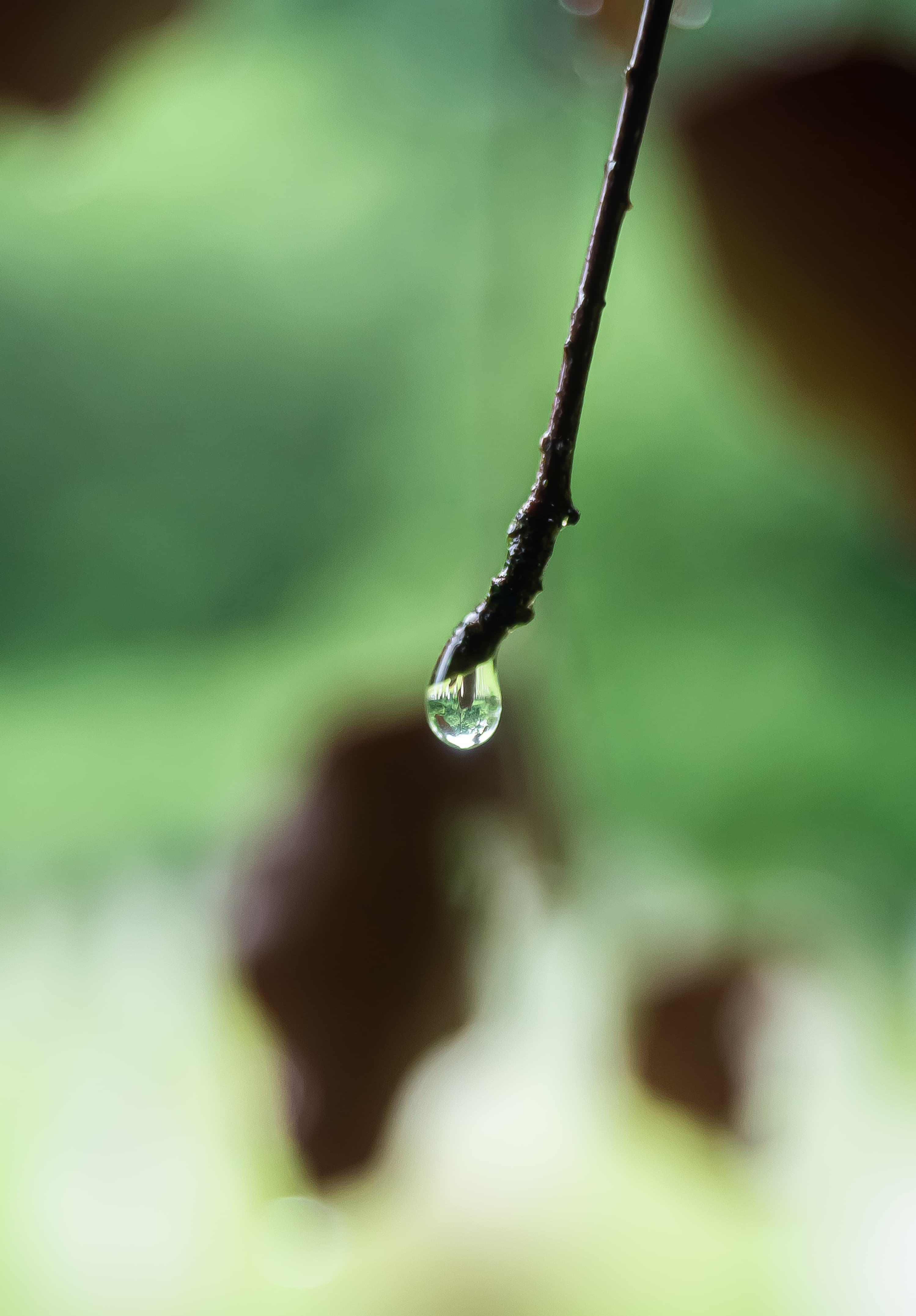A World Held in One Drop