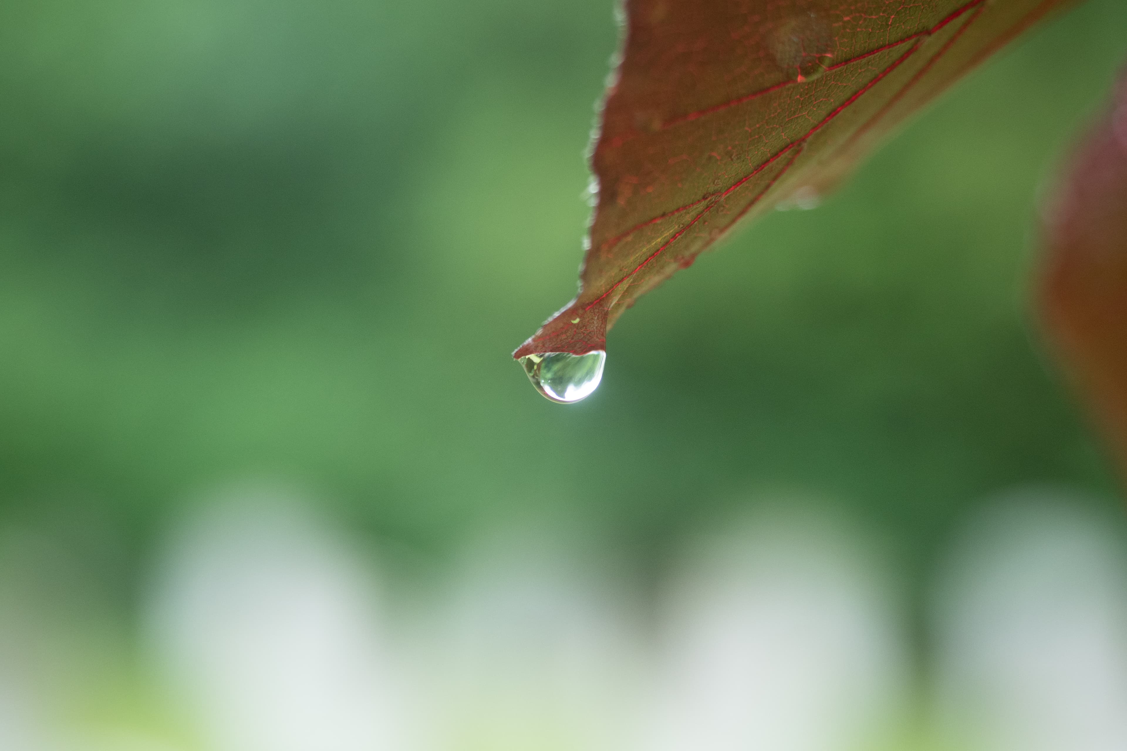 The Last Drop Before Falling