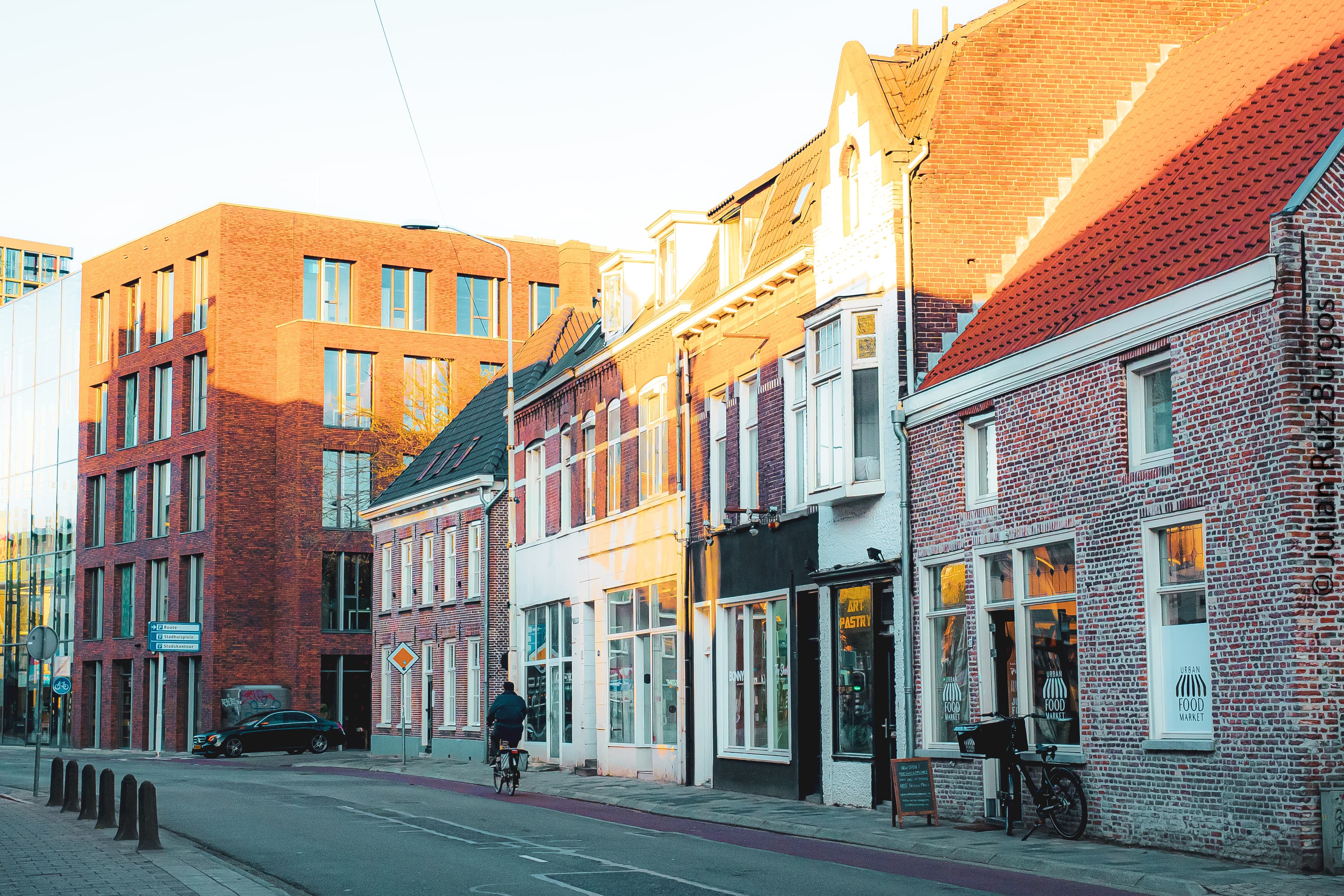 Golden Hour on a Dutch Street