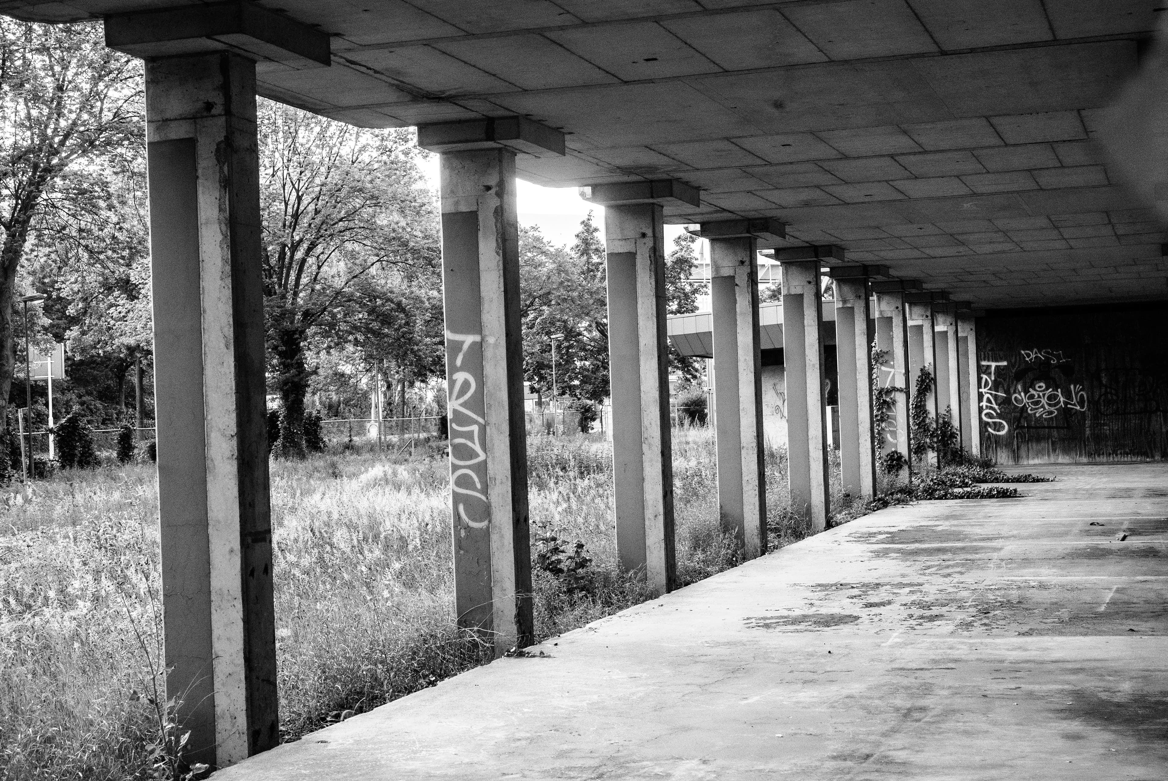 Concrete Colonnade Reclaimed by Silence