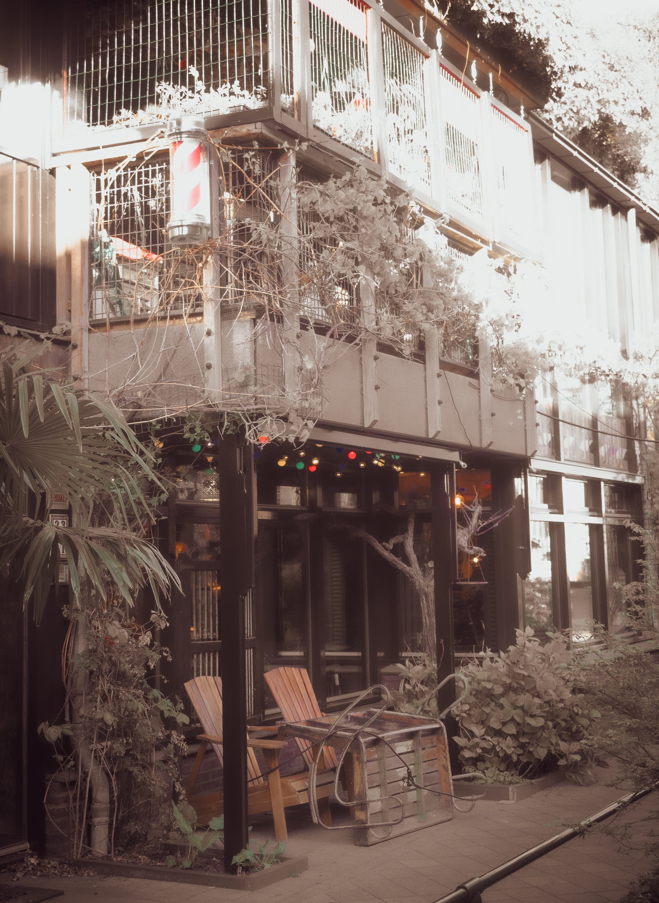 Overgrown Facade With Barber Pole